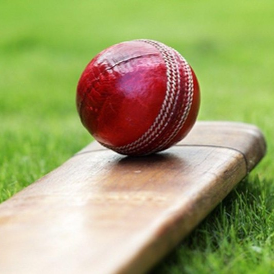 A red cricket ball on a bat